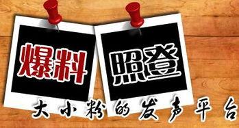 新闻爆料需要什么,新闻爆料背后的真相与挑战 第2张 新闻爆料需要什么,新闻爆料背后的真相与挑战 第2张